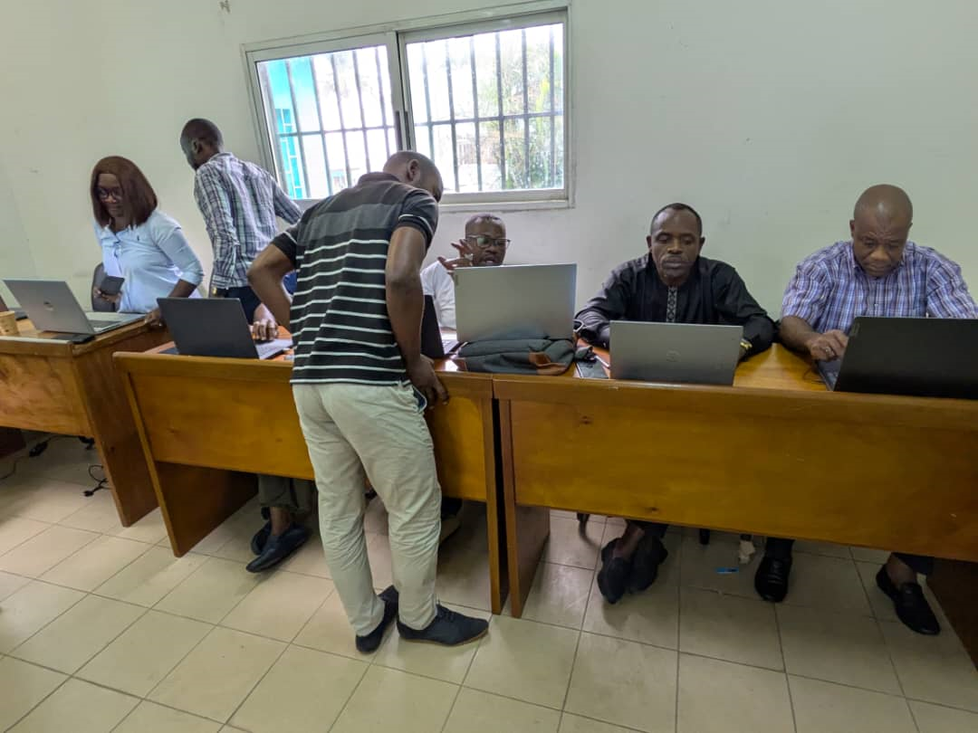 GABON - FORMATION DE L'ÉQUIPE TECHNIQUE NATIONAL DHIS2 SUR L'ANALYSE DES DONNEES DANS DHIS2